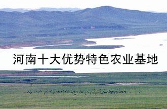 8月19日，河南省政府發(fā)布了關(guān)于深入推進農(nóng)業(yè)供給側(cè)結(jié)構(gòu)性改革 大力發(fā)展優(yōu)勢特色農(nóng)業(yè)的意見